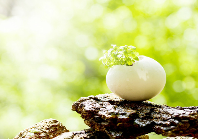 事業の再生や整理